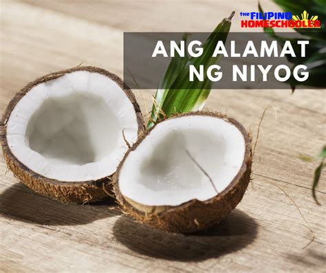 NIYOG: Definition of the Tagalog word niyog in English..